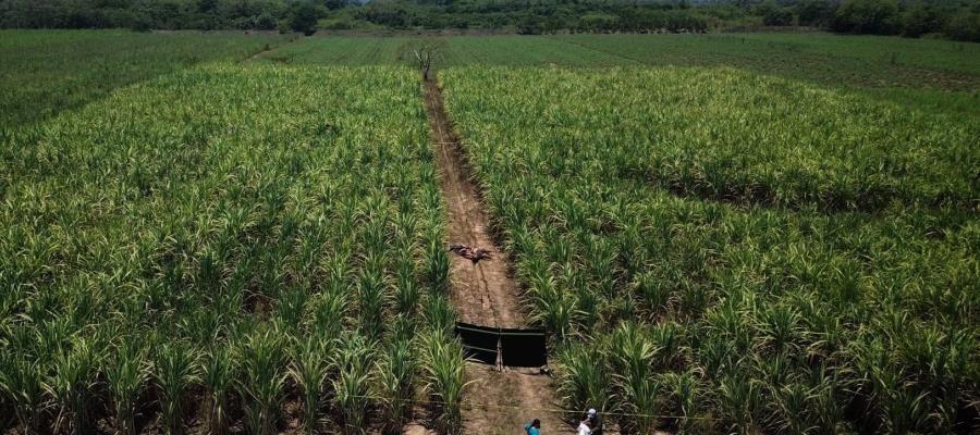Confirman familiares que cuerpos hallados en Cárdenas son los mecánicos desaparecidos en Huimanguillo Confirman familiares que cuerpos hallados en Cárdenas son los mecánicos desaparecidos en Huimanguillo