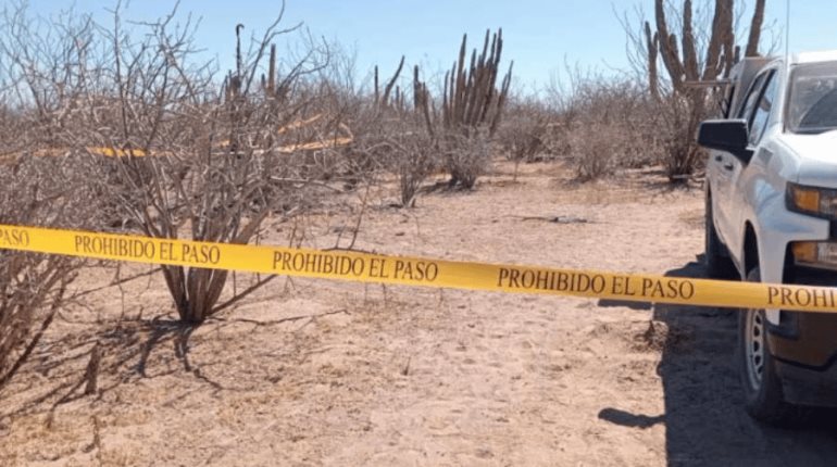Localizan 6 cuerpos en fosa clandestina en Baja California
