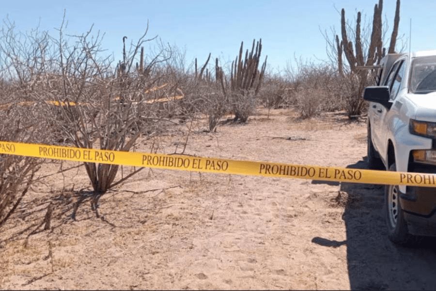 Localizan 6 cuerpos en fosa clandestina en Baja California Localizan 6 cuerpos en fosa clandestina en Baja California