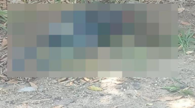 Localizan ejecutado entre cultivos de caña en Cárdenas