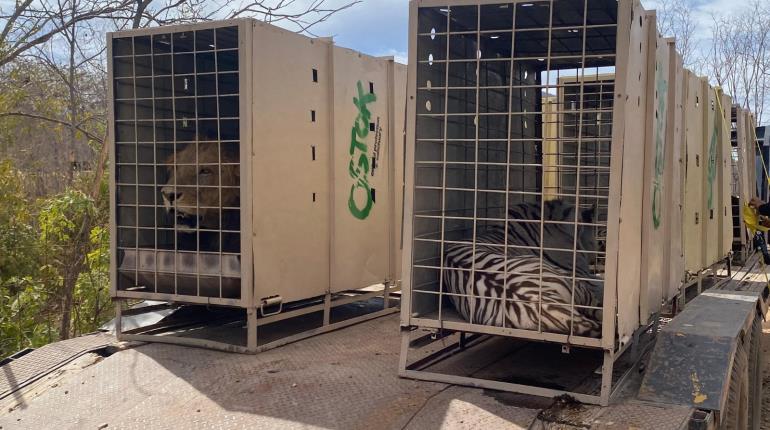 Por violencia cierran santuario de fauna silvestre en Culiacán