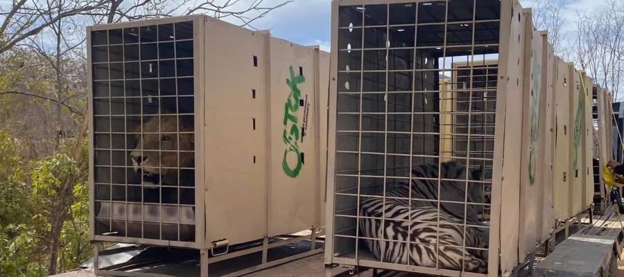 Por violencia cierran santuario de fauna silvestre en Culiacán Por violencia cierran santuario de fauna silvestre en Culiacán