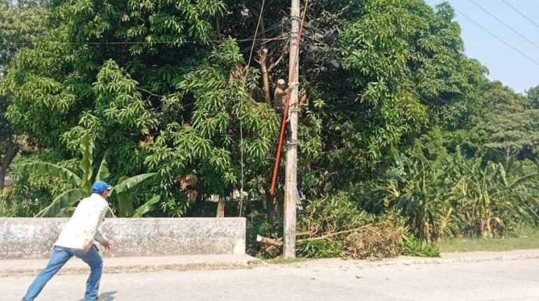 Cae trabajador del ayuntamiento de Tacotalpa de 4 metros de altura cuando podaba un árbol