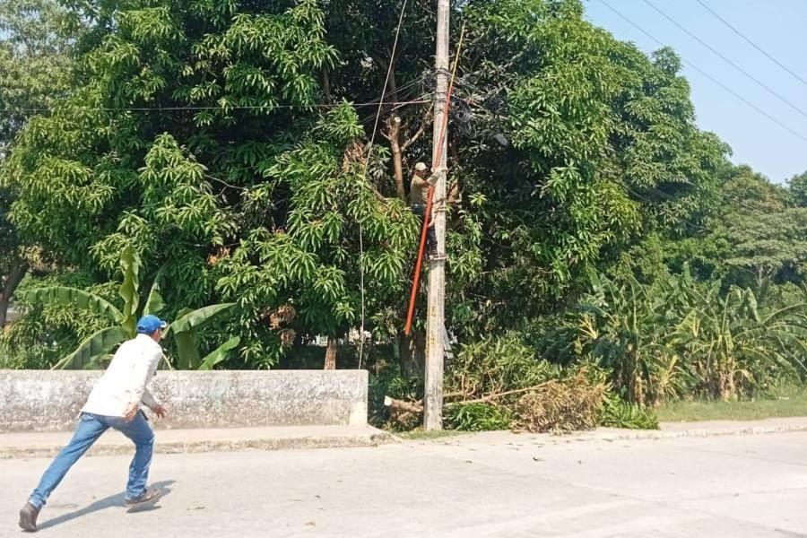 Cae trabajador del ayuntamiento de Tacotalpa de 4 metros de altura cuando podaba un árbol
