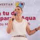 Detienen a 3 por "ecocidio"; se les aseguró 163,227 piezas de madera en Chiapas