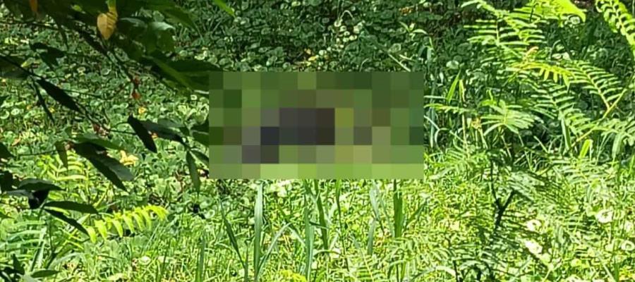 Localizan sin vida a adulto reportado como desaparecido en Comalcalco Localizan sin vida a adulto reportado como desaparecido en Comalcalco