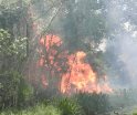 Incendios forestales dejan más de 600 hectáreas afectadas en Tabasco 