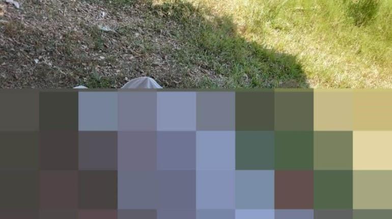 Muere técnico de empresa de internet por descarga eléctrica en Centro