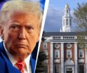 Arremete Trump nuevamente contra Harvard por no compartir datos de estudiantes extranjeros