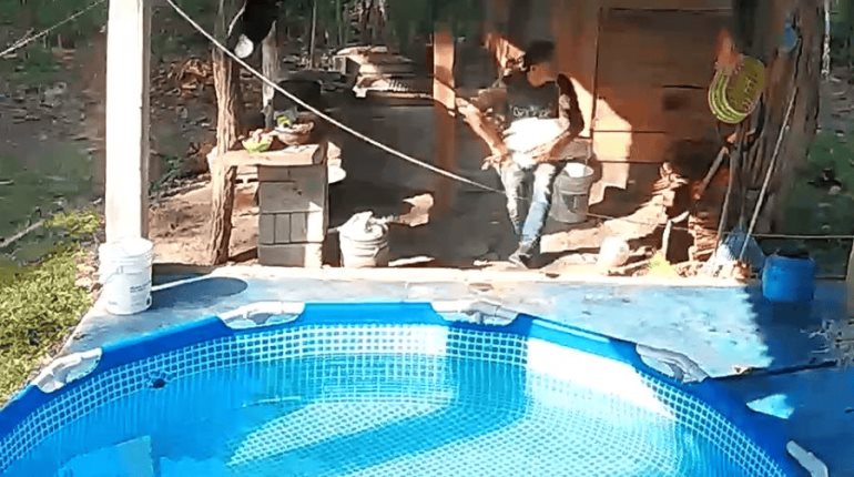Captan video de "roba pavo" en Cunduacán