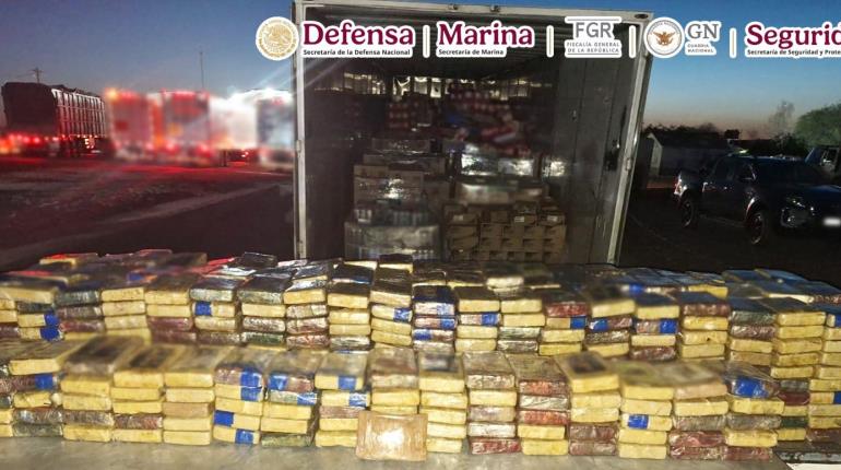 Aseguran 700 kilos de cocaína y detienen a presunto integrante del Cartel del Pacífico en Sonora
