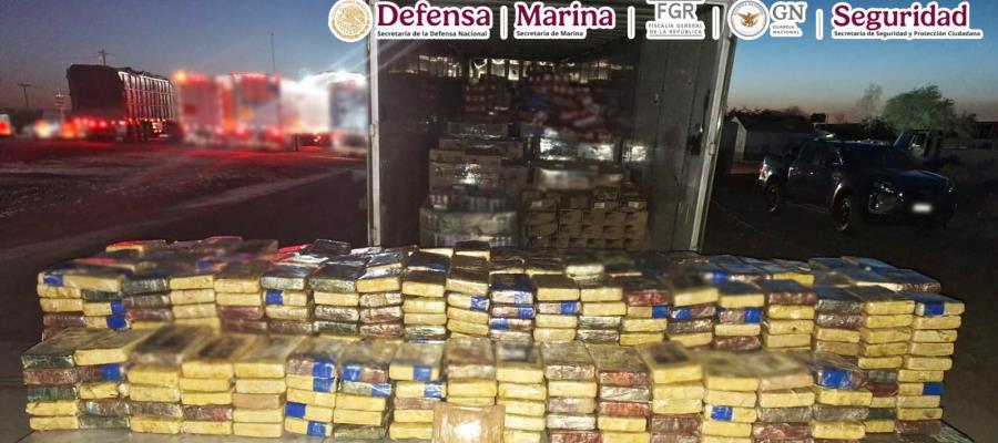 Aseguran 700 kilos de cocaína y detienen a presunto integrante del Cartel del Pacífico en Sonora Aseguran 700 kilos de cocaína y detienen a presunto integrante del Cartel del Pacífico en Sonora