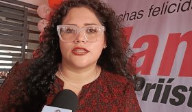 Los de la nómina de Morena saldrán a votar en la elección judicial:  PRI Tabasco