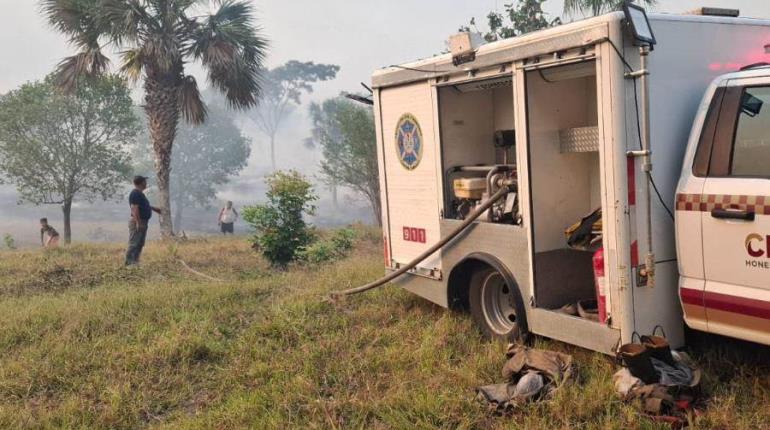Investigan causales de incendio que afectó 2.5 kilómetros de pastizales en Tamulté de las Sabanas