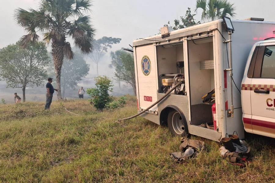 Investigan causales de incendio que afectó 2.5 kilómetros de pastizales en Tamulté de las Sabanas Investigan causales de incendio que afectó 2.5 kilómetros de pastizales en Tamulté de las Sabanas
