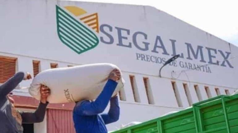 Exfuncionario ligado a desfalco en Segalmex solicita amparo para salir de prisión
