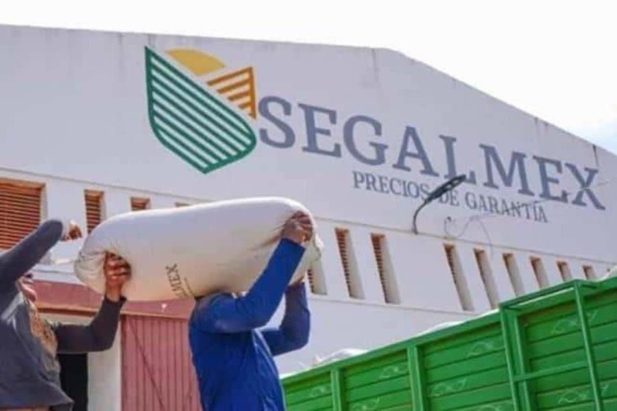 Exfuncionario ligado a desfalco en Segalmex solicita amparo para salir de prisión Exfuncionario ligado a desfalco en Segalmex solicita amparo para salir de prisión