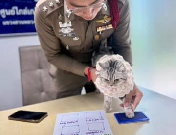 Arrestan a gatita en Tailandia tras atacar a varios policías