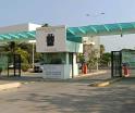 Reanudará DACSyH actividades docentes a partir de las 12 del día