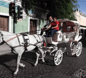 Yucatán, el estado más seguro del país: Inegi