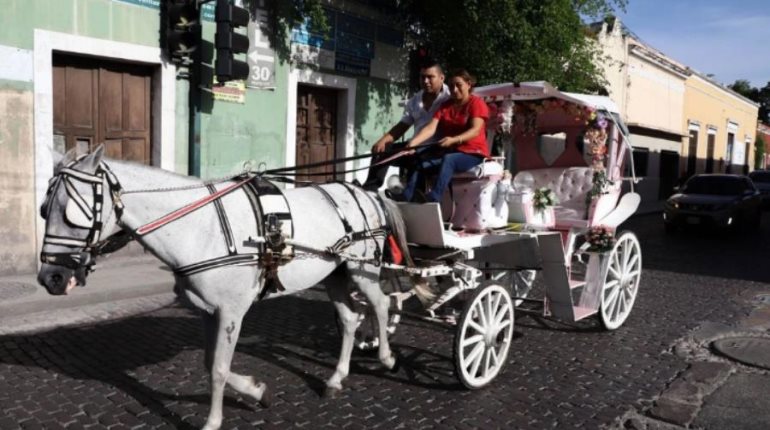 Yucatán, el estado más seguro del país: Inegi