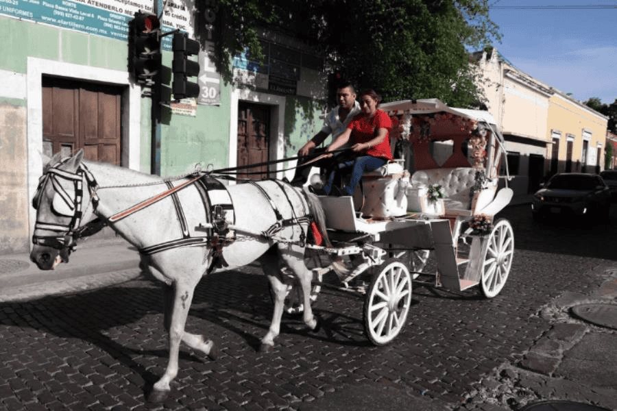 Yucatán, el estado más seguro del país: Inegi Yucatán, el estado más seguro del país: Inegi