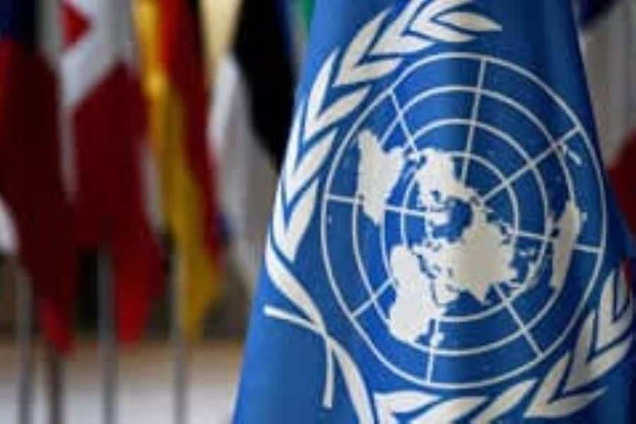 Recortará ONU 20% de su presupuesto y casi siete mil empleos por crisis financiera Recortará ONU 20% de su presupuesto y casi siete mil empleos por crisis financiera