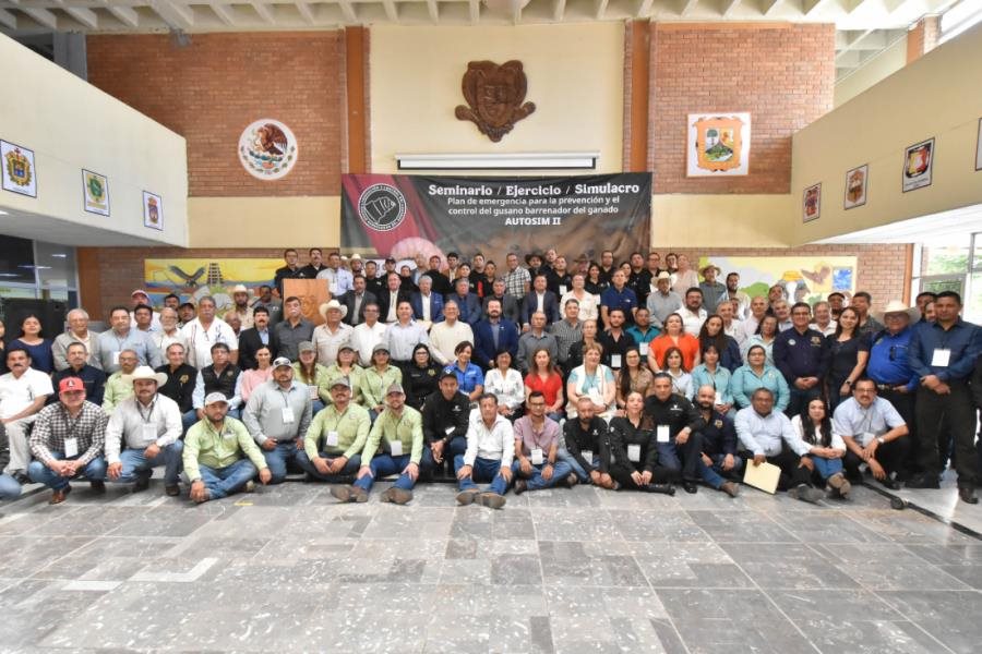 Agricultura realiza primer simulacro del gusano barrenador del ganado en el norte del país Agricultura realiza primer simulacro del gusano barrenador del ganado en el norte del país