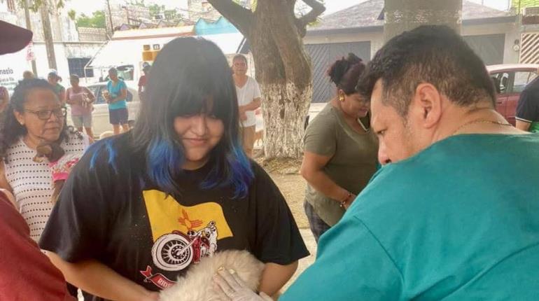 ¿Tienes mascotas? En septiembre realizarán campaña estatal de vacunación de perros y gatos: SSA