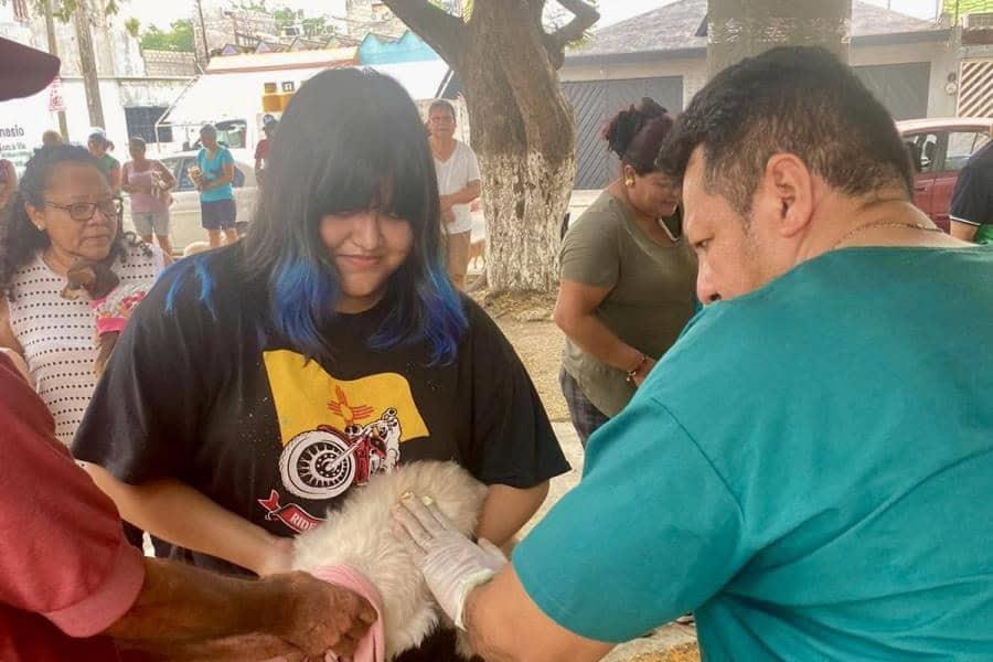 ¿Tienes mascotas? En septiembre realizarán campaña estatal de vacunación de perros y gatos: SSA