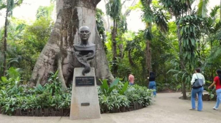 Confía PVEM en Congreso que Sheinbaum tomará en cuenta opinión de tabasqueños para Museo Olmeca