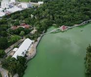 Surge movimiento contra proyecto del nuevo Museo Olmeca; recolectan firmas para su cancelación