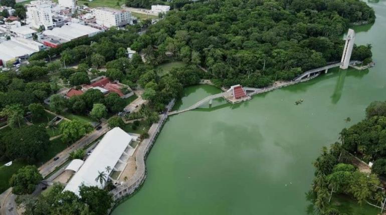 Surge movimiento contra proyecto del nuevo Museo Olmeca; recolectan firmas para su cancelación
