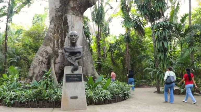 A no confiarse, llama Landy Palafox ante anuncio de May para rehabilitar el parque museo La Venta