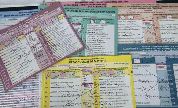 Cantidad de votos nulos se debe al diseño de boleta y por ser proceso inédito: Elizabeth Nava