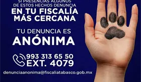 Vicefiscal de Tabasco no ve necesario crear una Fiscal&iacute;a Especializada en maltrato animal