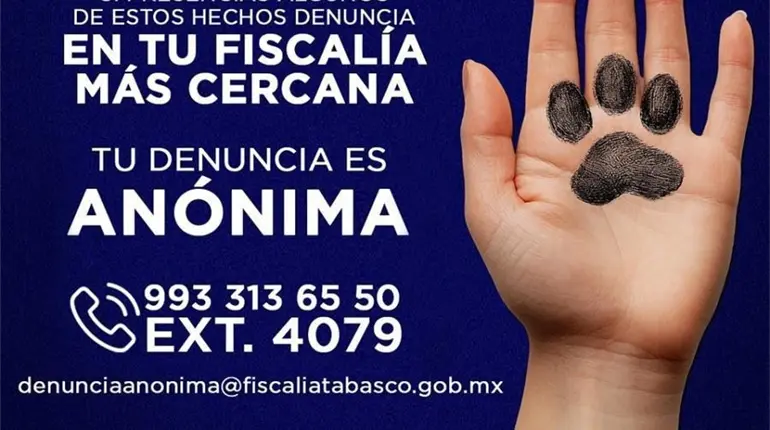 Vicefiscal de Tabasco no ve necesario crear una Fiscal&iacute;a Especializada en maltrato animal