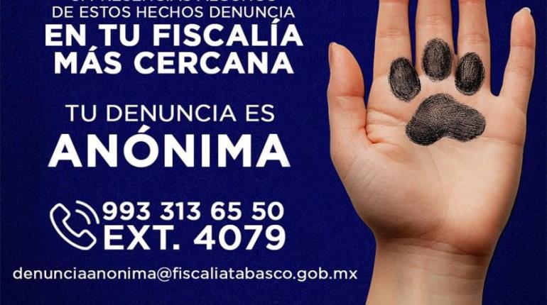 Habilita FGE Tabasco línea telefónica para denunciar maltrato animal