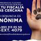 Detienen a 50 presuntos invasores de casas en Texcoco