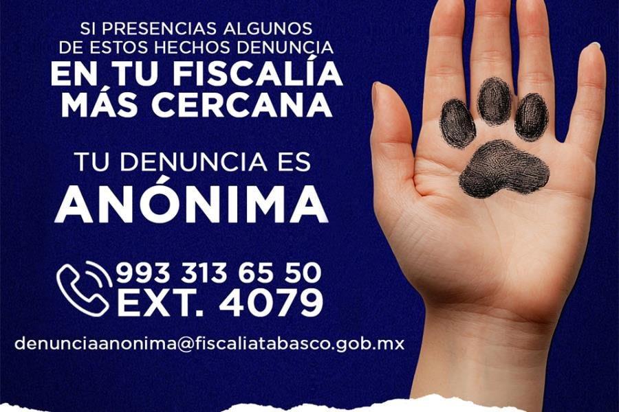 Habilita FGE Tabasco línea telefónica para denunciar maltrato animal Habilita FGE Tabasco línea telefónica para denunciar maltrato animal
