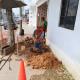 Colapsa árbol en paso del túnel ´El Tintal´ de Jalapa