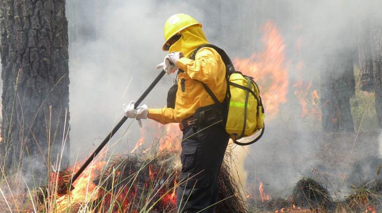 3 incendios activos en pantanos de Centla, reporta Conafor