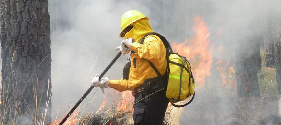 3 incendios activos en pantanos de Centla, reporta Conafor 3 incendios activos en pantanos de Centla, reporta Conafor