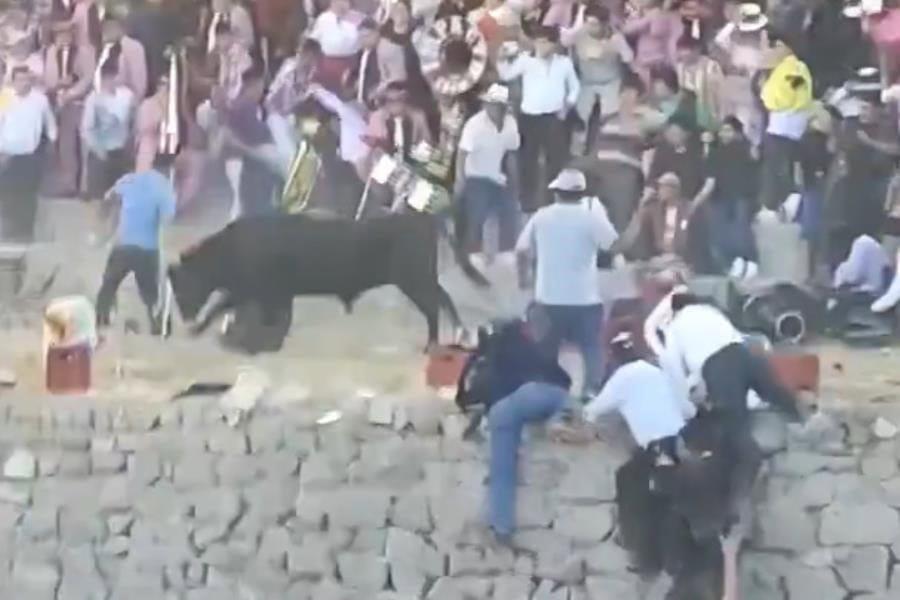 Toro embiste a 12 personas en corrida de fiesta patronal en Perú Toro embiste a 12 personas en corrida de fiesta patronal en Perú