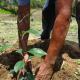 El calor no da tregua; termómetro alcanzaría los 38 grados este miércoles