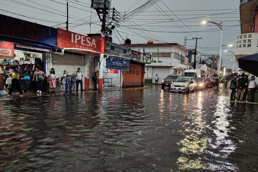 Fuerte lluvia sorprende a tabasqueños; deja accidentes y caída de ramas en la Villahermosa-Cárdenas Fuerte lluvia sorprende a tabasqueños; deja accidentes y caída de ramas en la Villahermosa-Cárdenas
