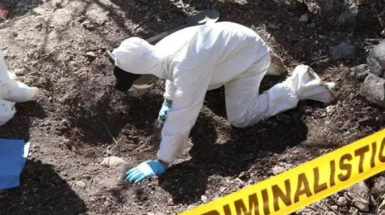 Hallan 8 cuerpos en fosa clandestina en Bahía de Los Ángeles