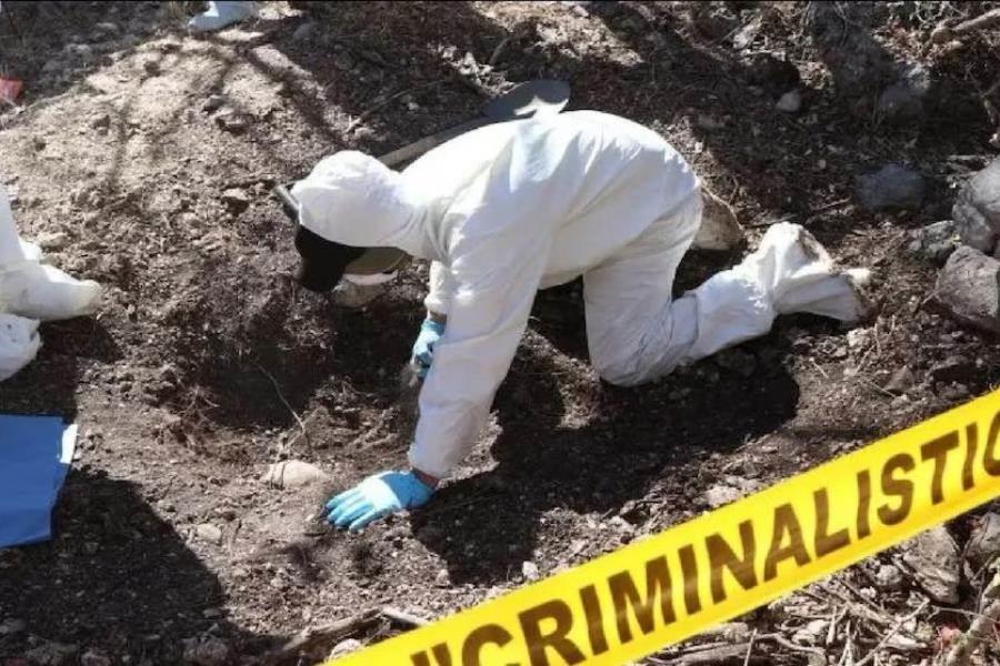Hallan 8 cuerpos en fosa clandestina en Bahía de Los Ángeles Hallan 8 cuerpos en fosa clandestina en Bahía de Los Ángeles