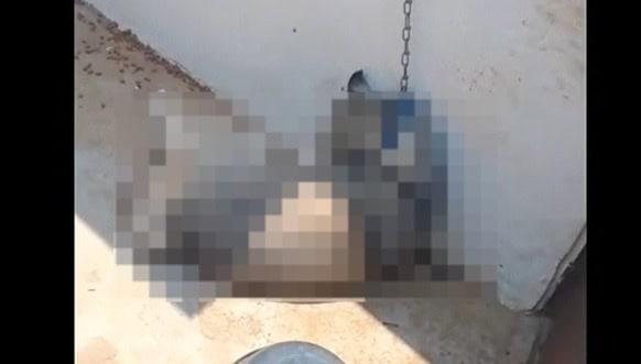 Caninos 911 denuncia nuevo caso de maltrato animal en Villahermosa Caninos 911 denuncia nuevo caso de maltrato animal en Villahermosa