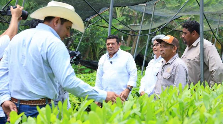 Inicia en la Finca ´Las Lilias´ el desarrollo del primer Centro Agroecológico para el Intercambio de Saberes de Tabasco